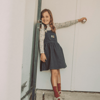 The Denim Dress - Scenic Park