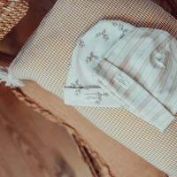 The Printed Blanket - Rose Stripe