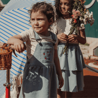 The Denim Dress - Raspberry Red