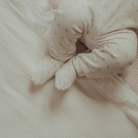 The Printed Blanket - Soft Bird