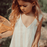 The Denim Dress - Rose Stripe