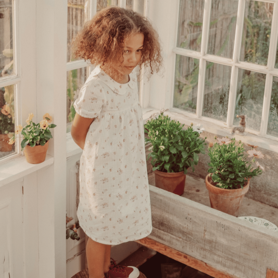 The Dressy Short Sleeve Collar Dress - Seashell