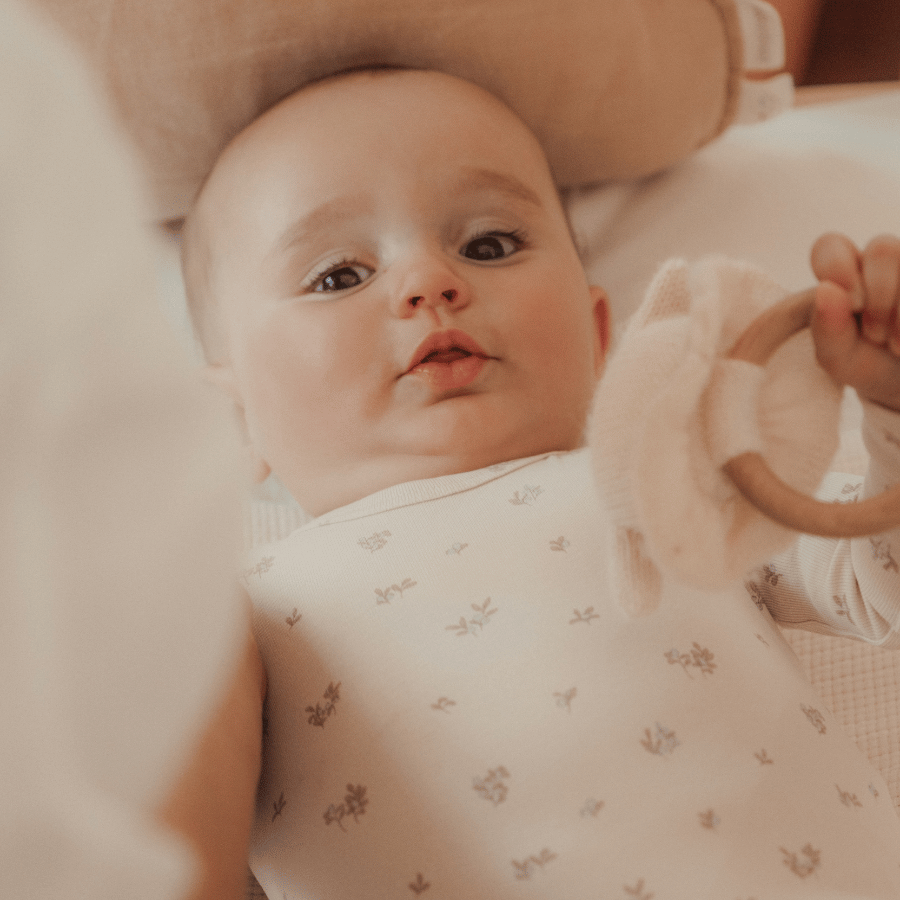 The Printed Bib - Berry Blue