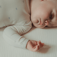 The Printed Hat - Blue Bow