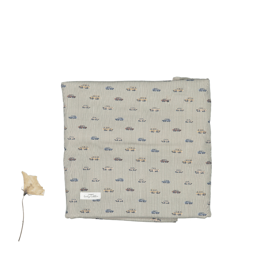 The Printed Blanket - Vintage Car