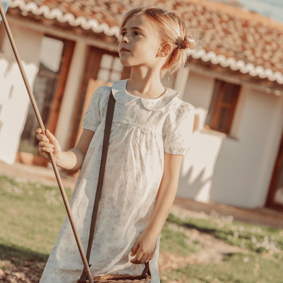 The Dressy Short Sleeve Collar Dress - Amelia