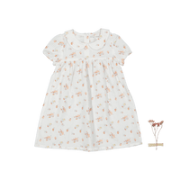 The Dressy Short Sleeve Collar Dress - Seashell