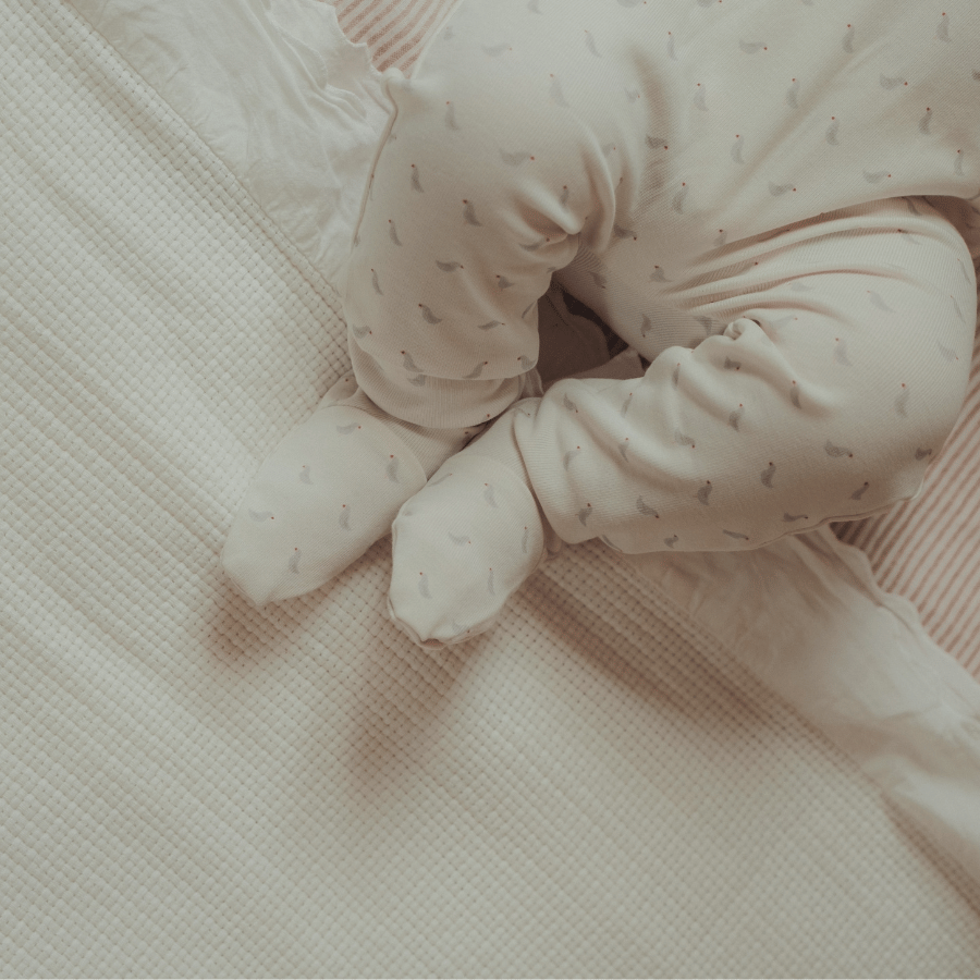 The Printed Blanket - Soft Bird