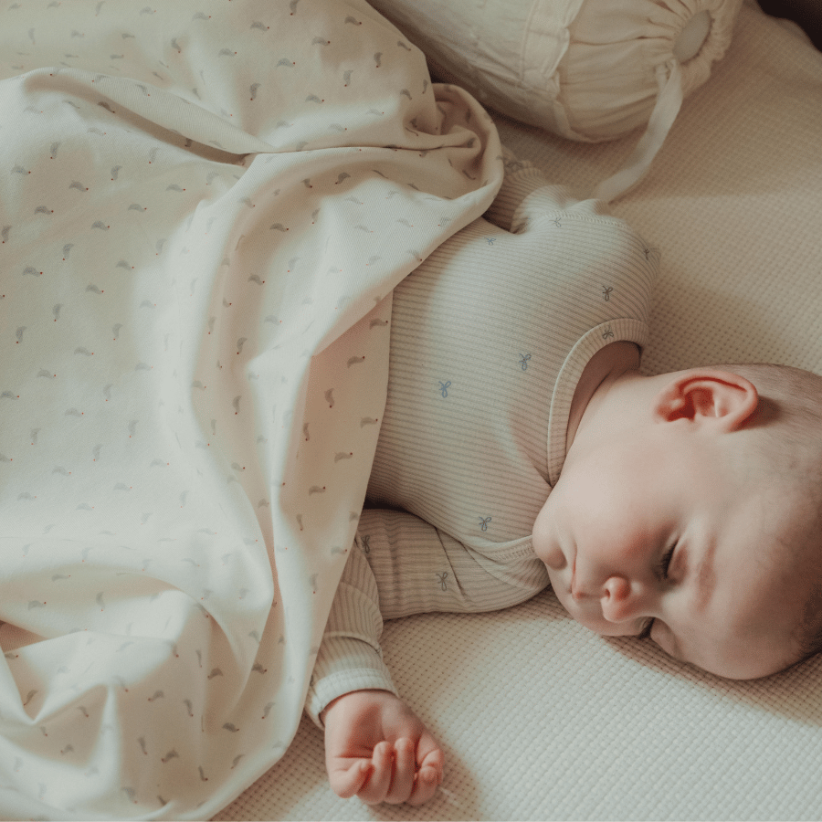 The Printed Blanket - Soft Bird