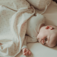 The Printed Blanket - Soft Bird