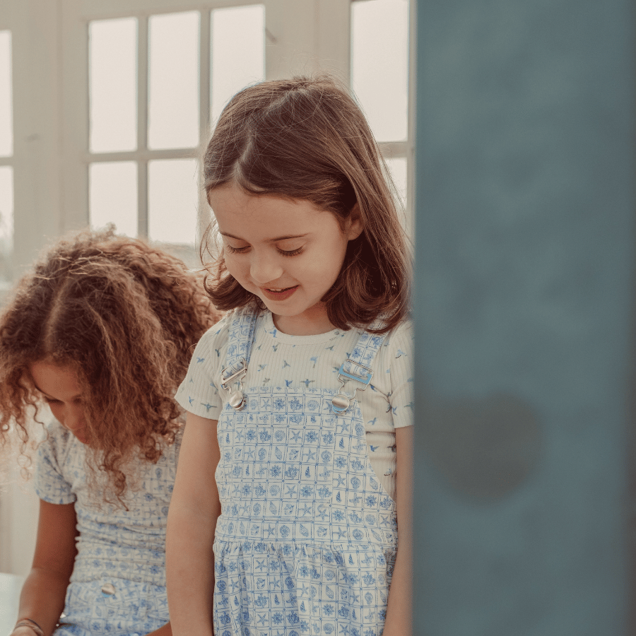 The Denim Dress - Starfish