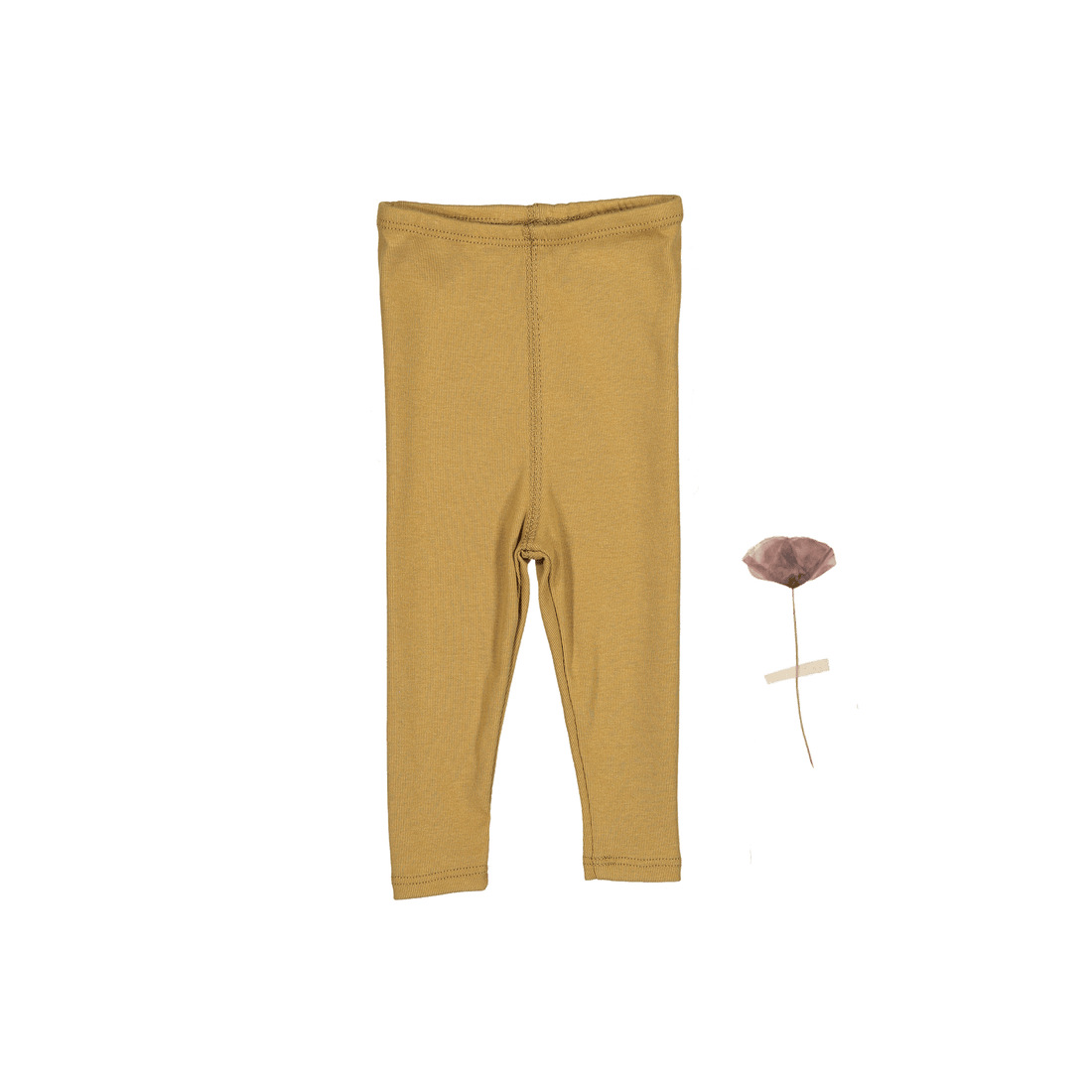 The Legging - Golden