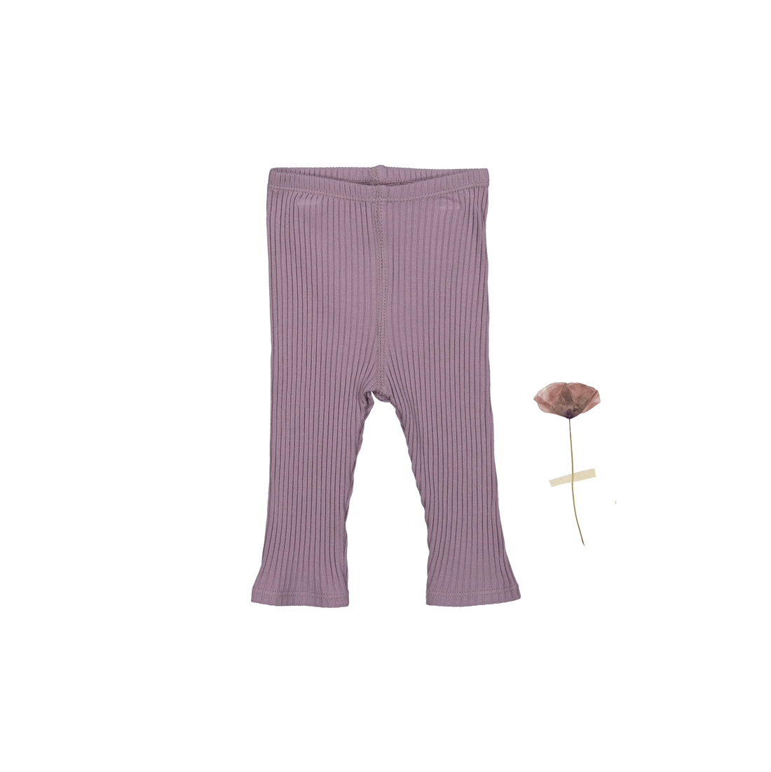 The Legging - Violet