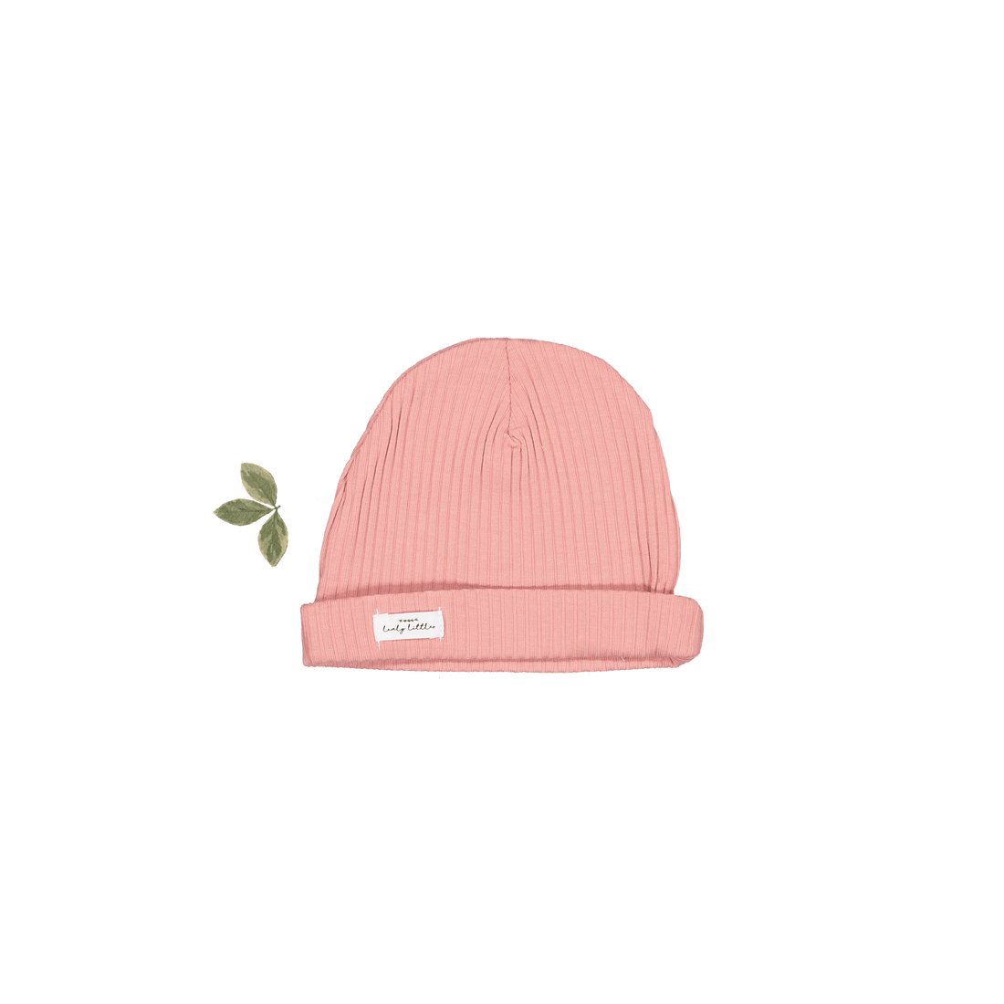 The Hat - Rose